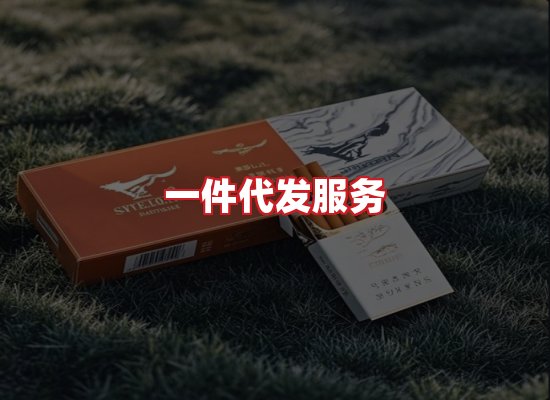 专业团队
